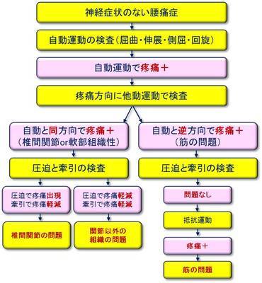 理学療法士が行う「腰痛症」の疼痛原因追究のための理学検査の流れ 